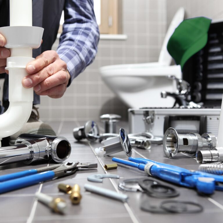 toilet repair in Grayslake, bathroom plumbing Lake County, toilet replacement McHenry County
